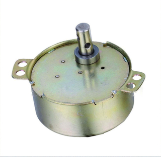 Synchronous motor 49TYJ